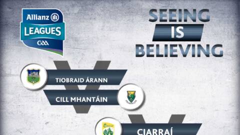 Allianz Football League Division 4 – Wicklow 4-12 Tipperary 0-22