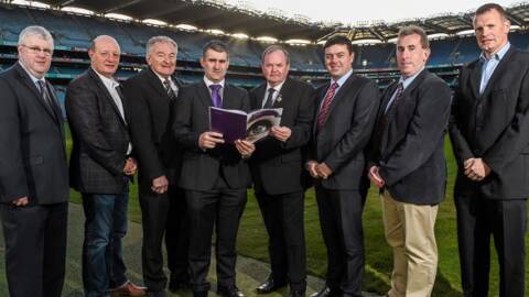 Hurling 2020 Committee Report