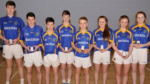 Tipperary Handball Notes – April 19th 2015