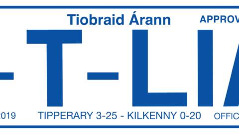 19-T-LIAM Number Plate Distributors