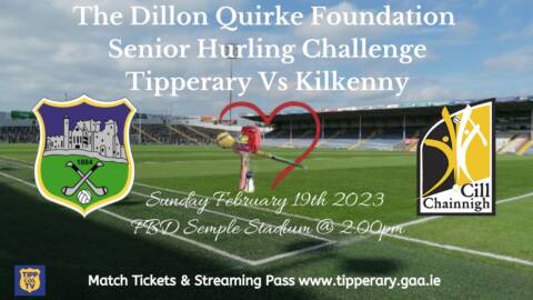 The Dillon Quirke Foundation Senior Hurling Challenge