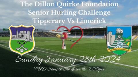 Dillon Quirke Foundation Senior Hurling Challenge